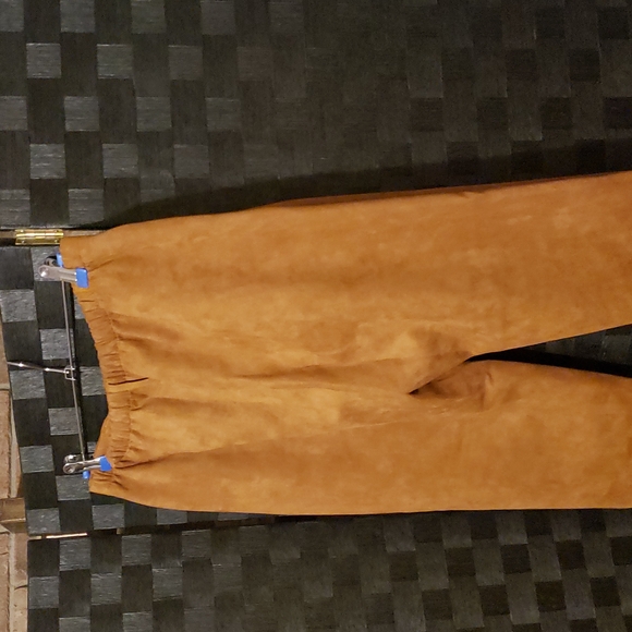 COPY - Fringy Suede Pants - Picture 9 of 14